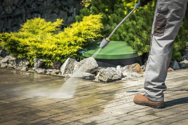 Best Gutter Cleaning and Brightening in Mayfield, KY