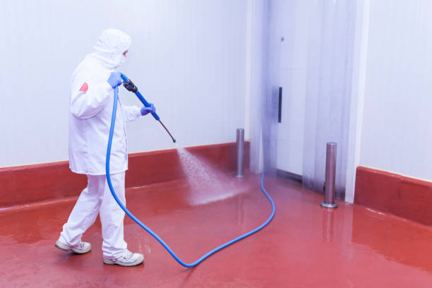 Best Oil and Grease Removal from Surfaces in Mayfield, KY